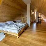 Goricke Ize Holiday park