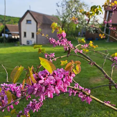 Goricke Ize Holiday park Krizevci